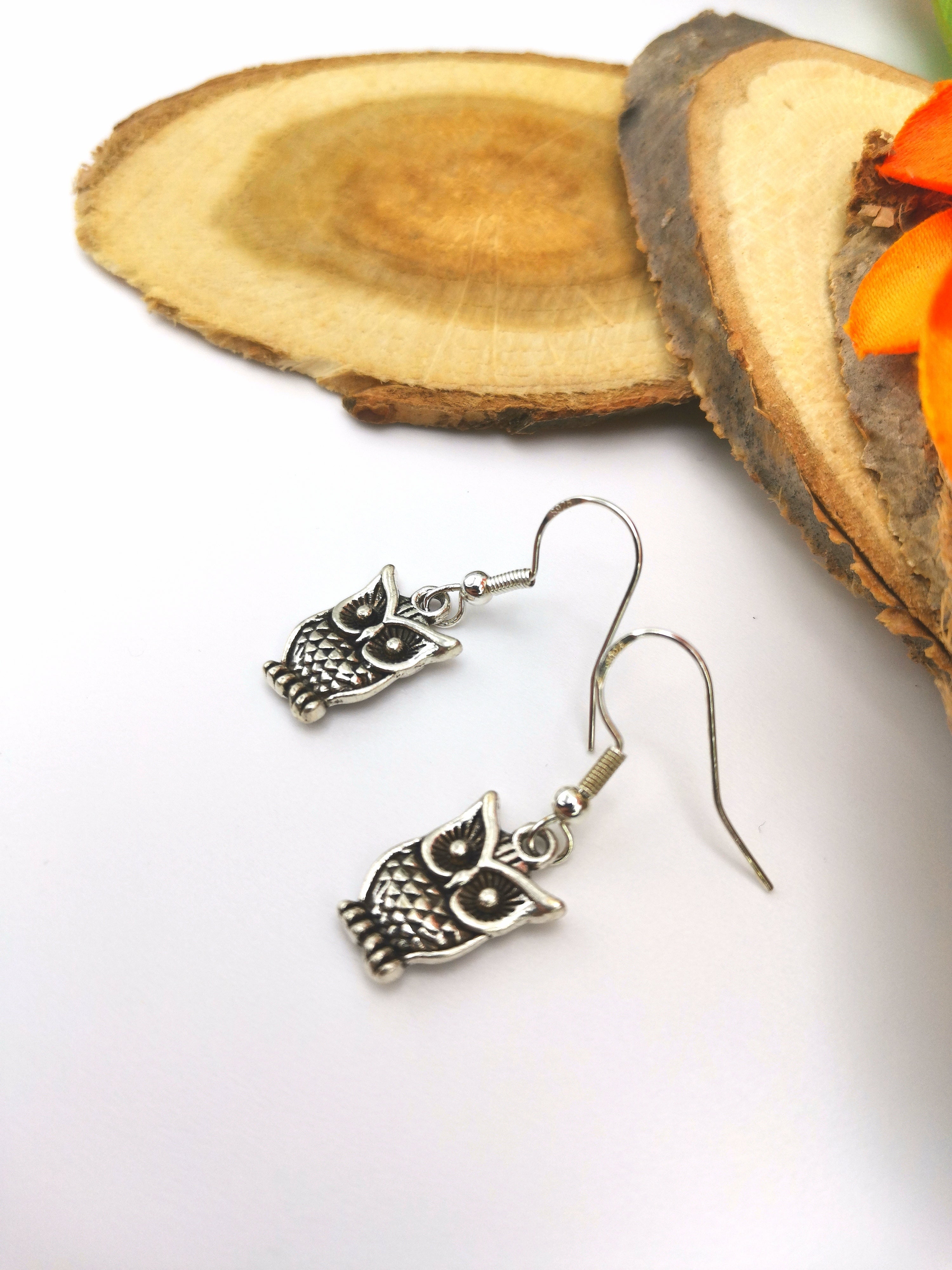 Two charming Silver Sunbird Enlightened Owl sterling silver earrings rest on a white surface, showcasing detailed feathers and large round eyes. They feature a shepherd&