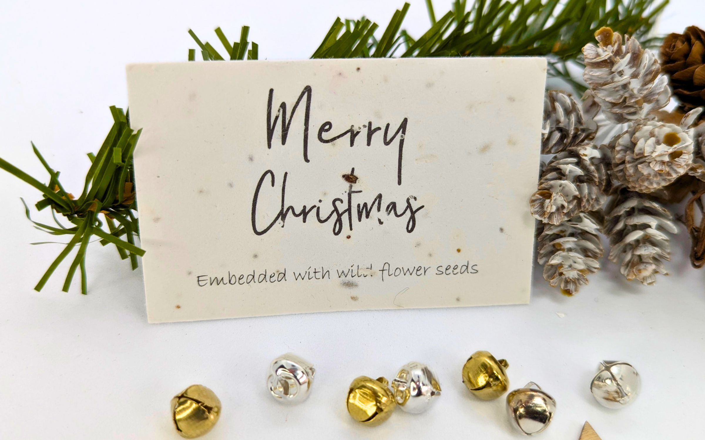 A Christmas gift box with a wooden reindeer, a sprig of red berries, and a card reading "Merry Christmas" with "Embedded with wild flower seeds" beneath. Small green tree cutouts are nearby.