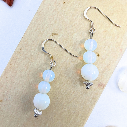Silver Sunbird&